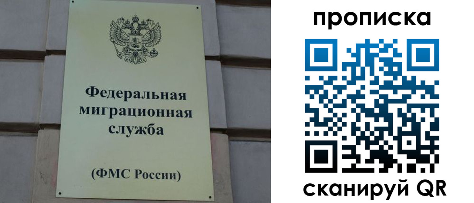 прописка поиск в Кирсанове